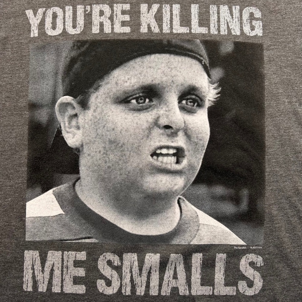The Sandlot You're Killing Me Smalls T-Shirt Mens Large Gray Ham Porter Graphic